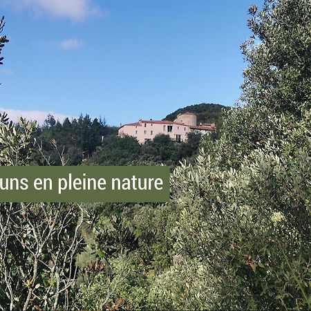 Pyrenees Mon Amour Felluns ภายนอก รูปภาพ