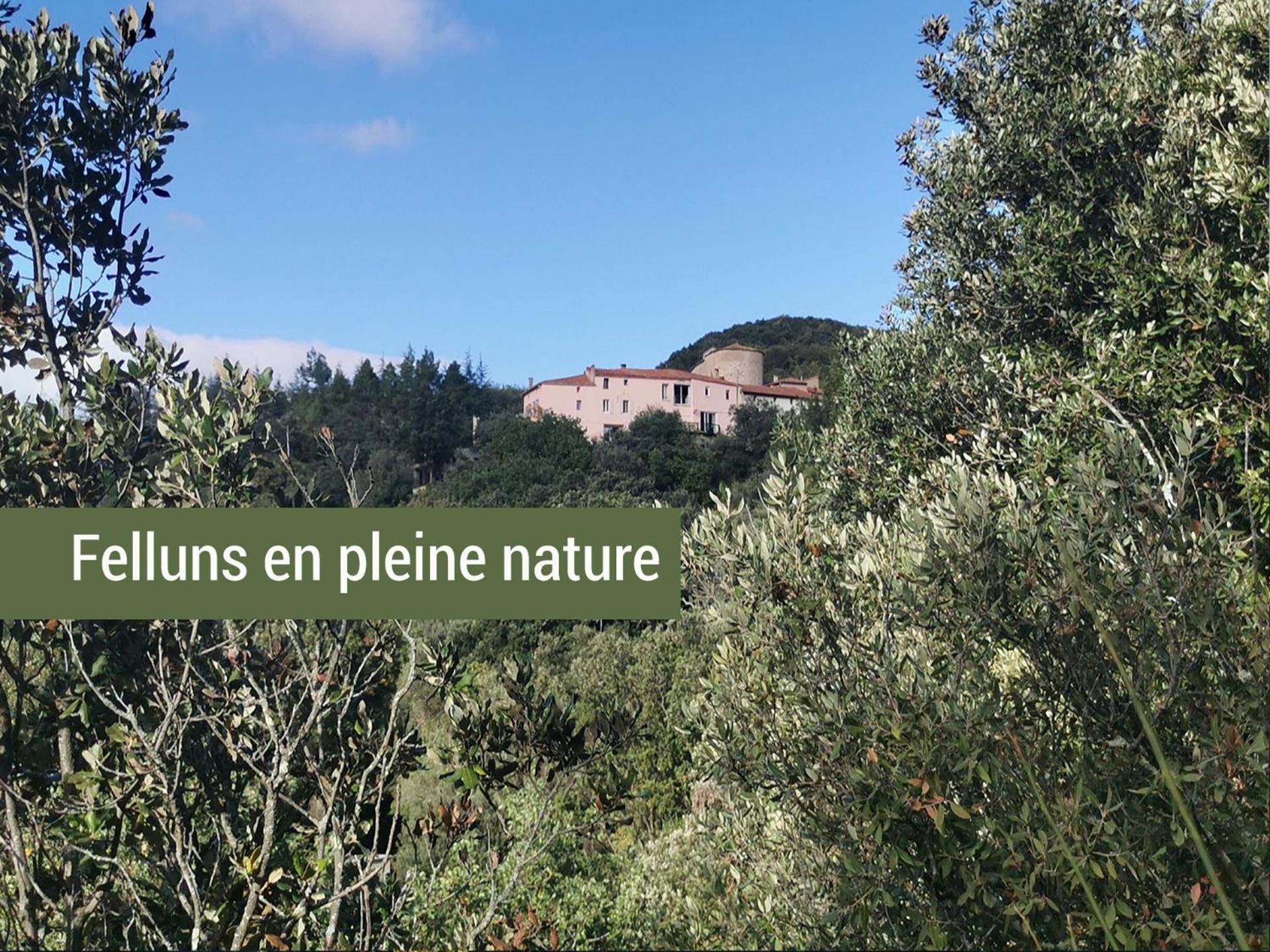 Pyrenees Mon Amour Felluns ภายนอก รูปภาพ