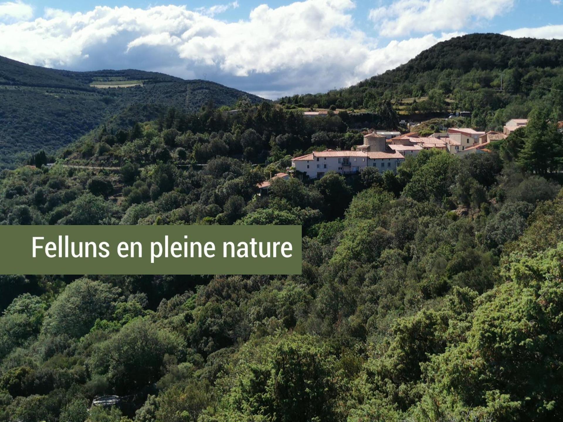 Pyrenees Mon Amour Felluns ภายนอก รูปภาพ